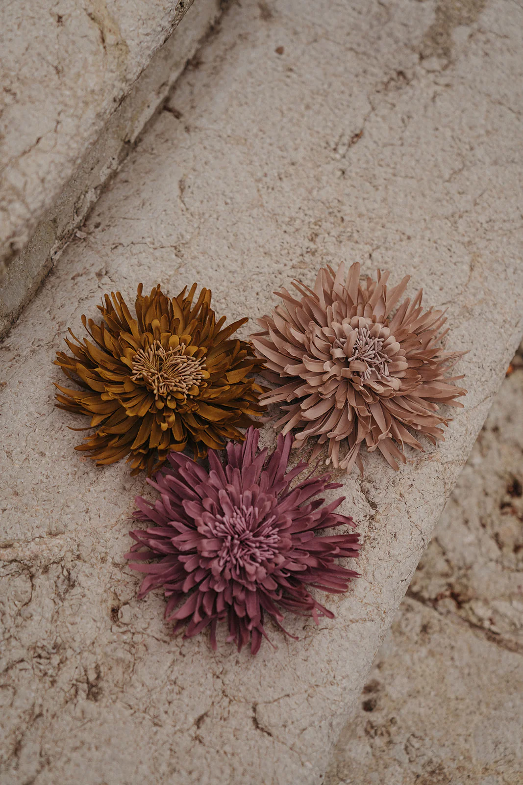 Flor Nenúfar - Image 11